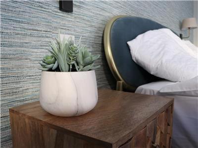 Chapel Lodge - Roof Top Garden!Perfect For Your Family Bath Ngoại thất bức ảnh
